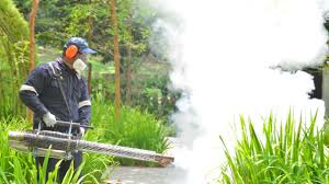 Best Fumigation Services  in Schererville, IN